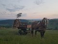 Vatra 2017   6